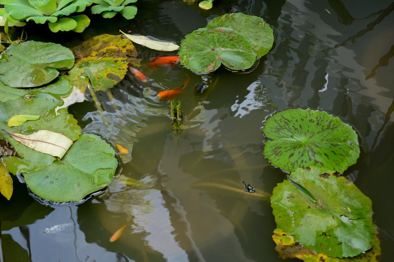 The Villa Secret Garden Siem Reap Exterior foto